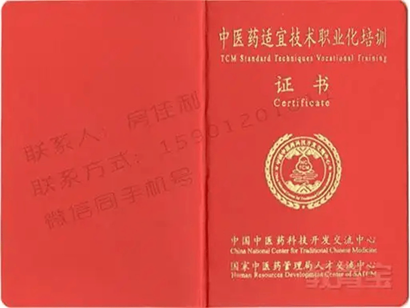 定制证书定制 定制证书定制-红金大气喜庆风